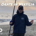 Orate in Versilia